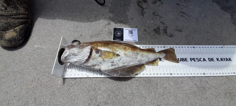 Fish Measure Picture